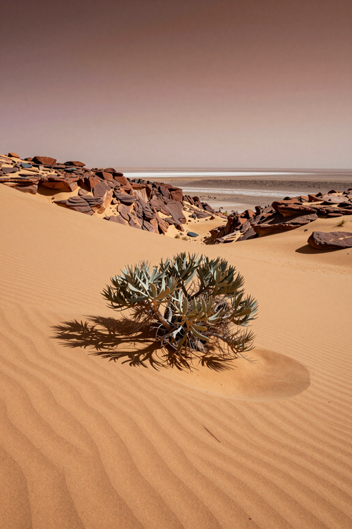 A solitary desert plant grows amidst rolling sand dunes and rocky outcrops under a hazy sky.